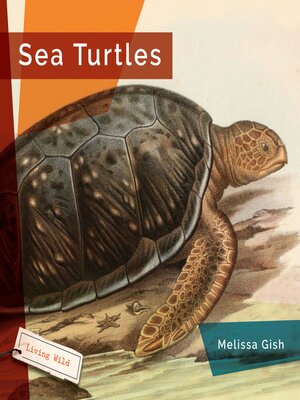 cover image of Sea Turtles
